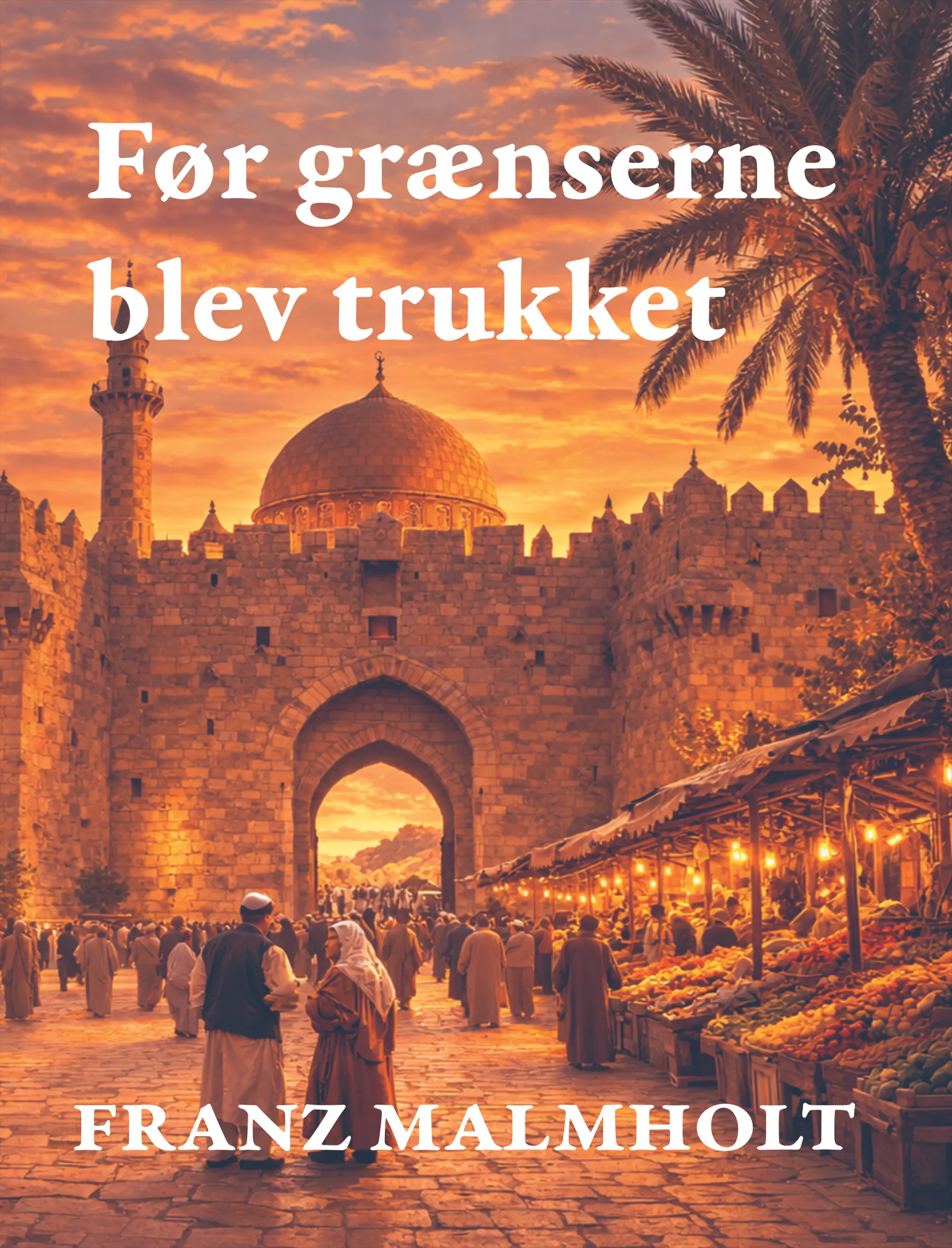 Omslag til Før grænserne blev trukket
