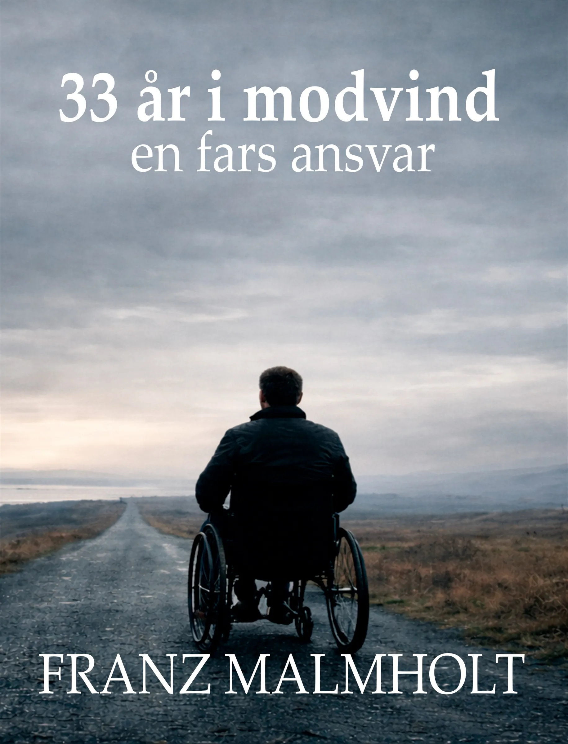 Omslag til 33 år i modvind