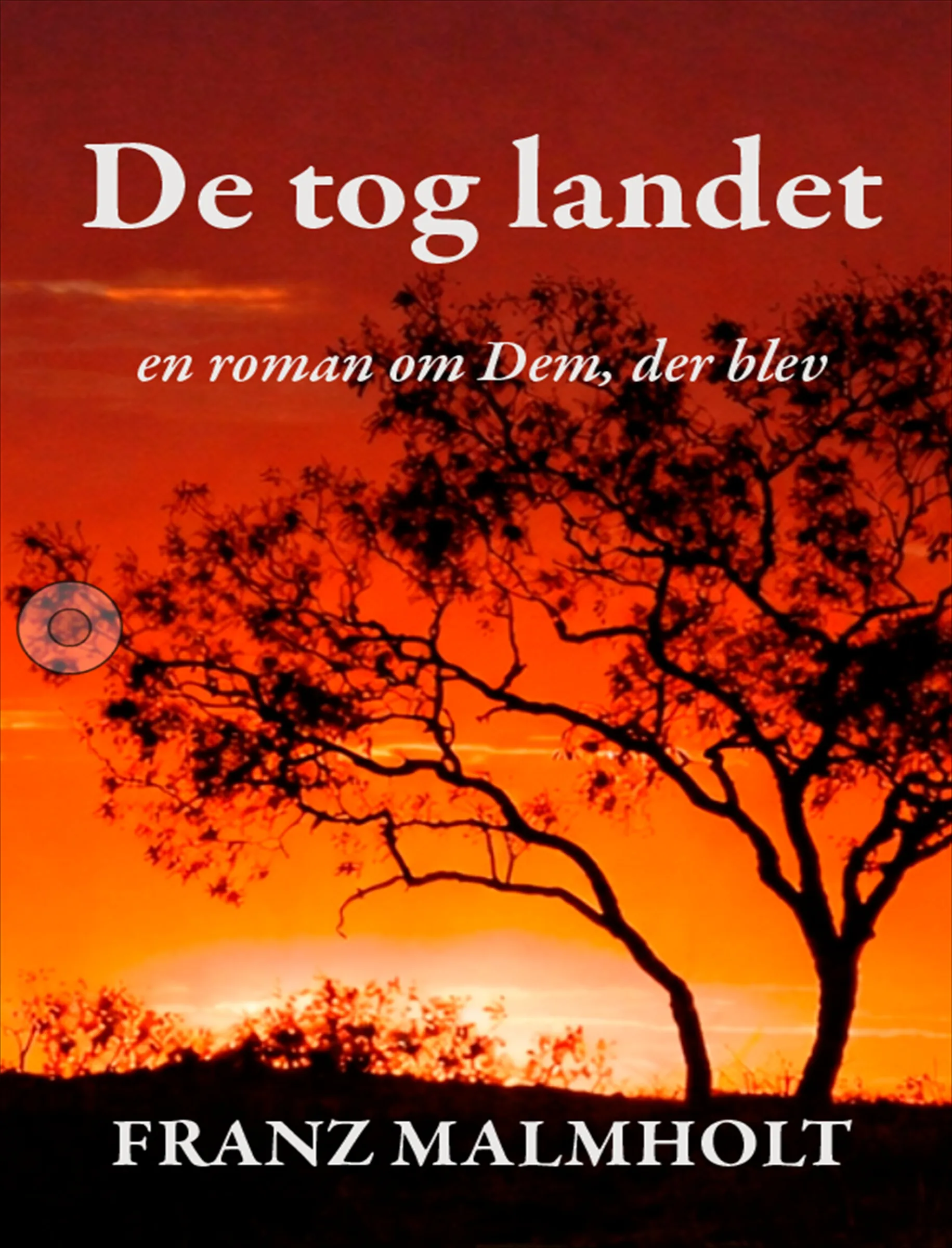 Omslag til De tog landet